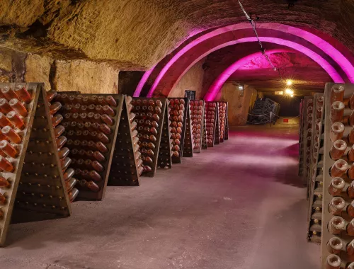 Les différents types de vins de Saumur Les différents types de vins de Saumur