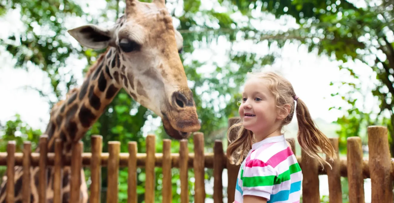 zoo à Clermont-Ferrand.png