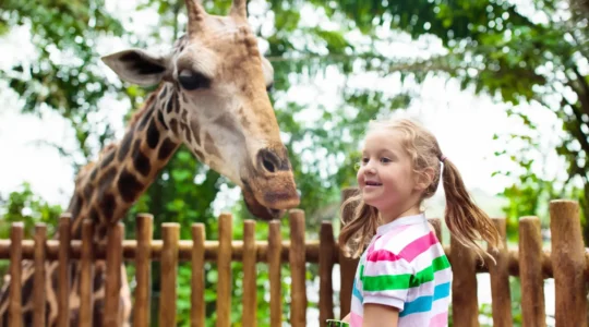 zoo à Clermont-Ferrand.png